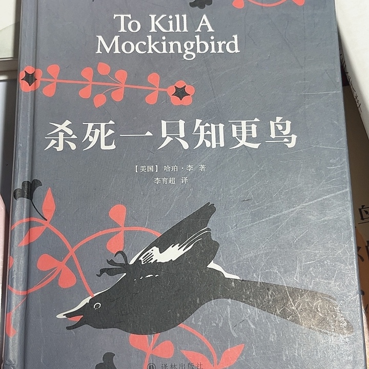 知更鸟全新推荐全新