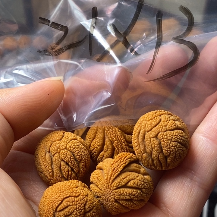 文玩核桃手串秦岭野生龙纹桃核21