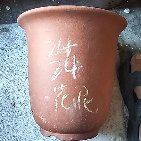 红泥特大金钟一个花泥