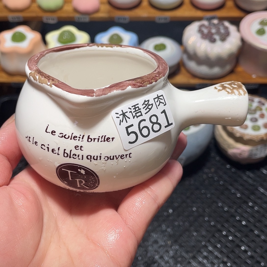 姜***朵带盆土植物 一物一拍5681