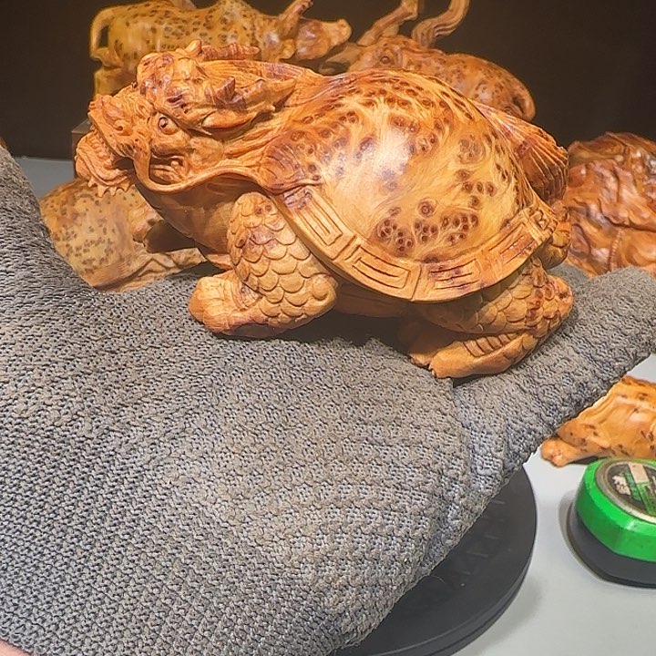 柏木兰**永太行崖柏龙龟