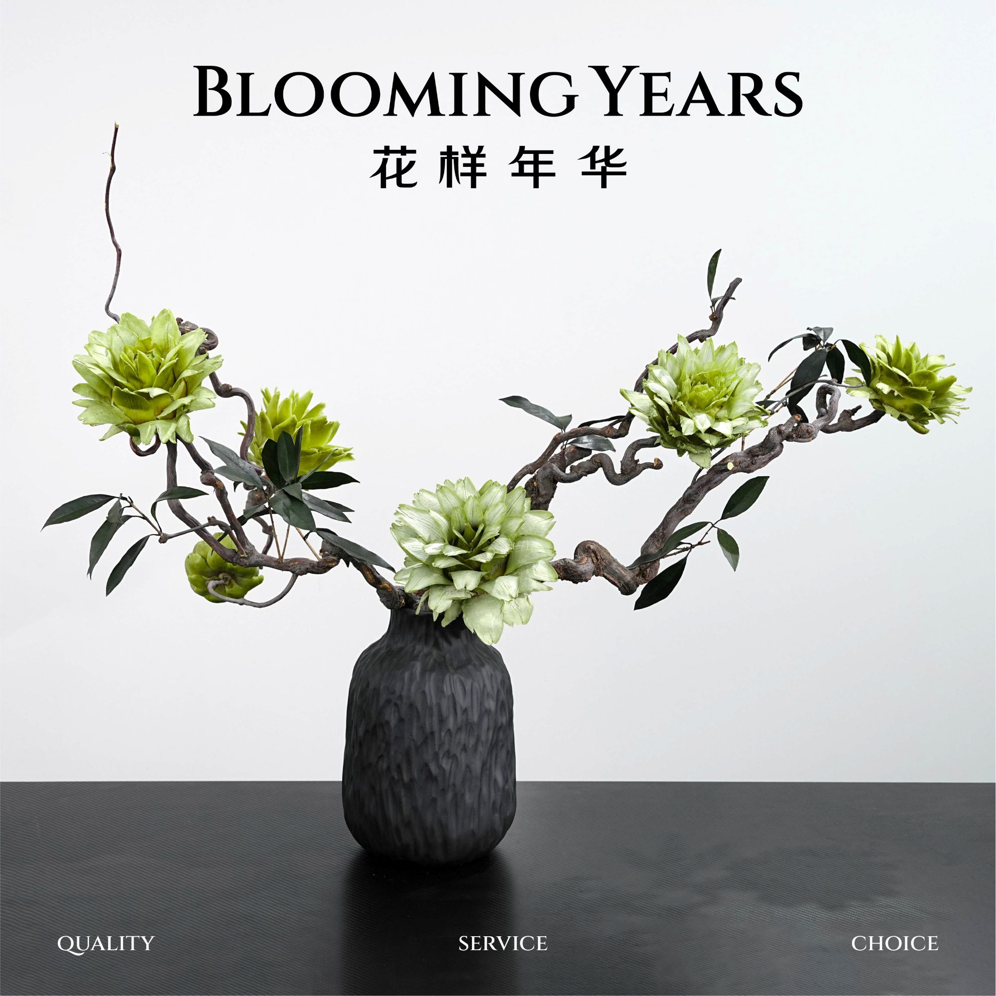 【一物一拍】禅意风永生洋蓟花 龙枣枝新中式 高端居家花艺 永生花