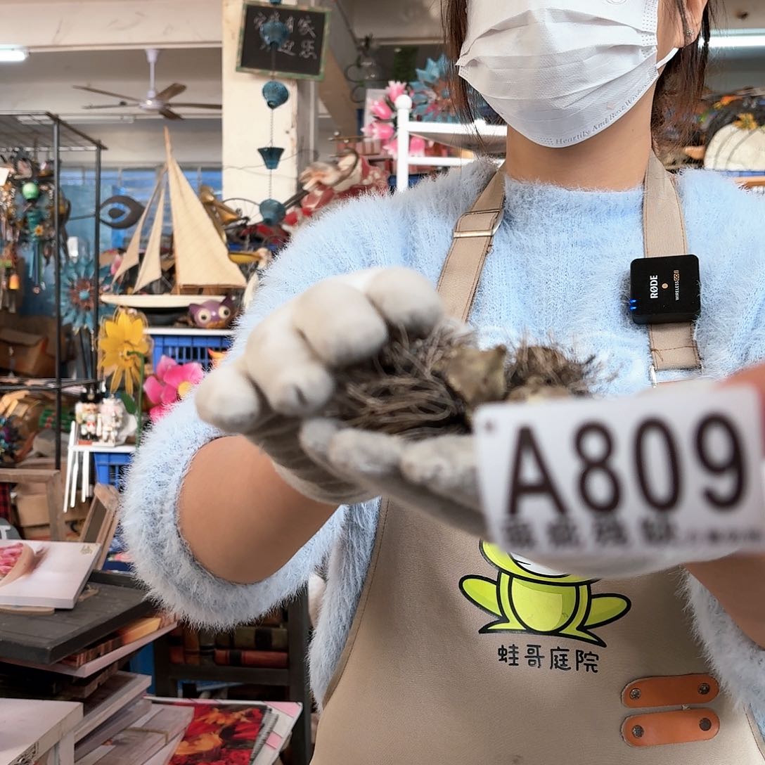 核桃木/黑胡桃（胡桃木）