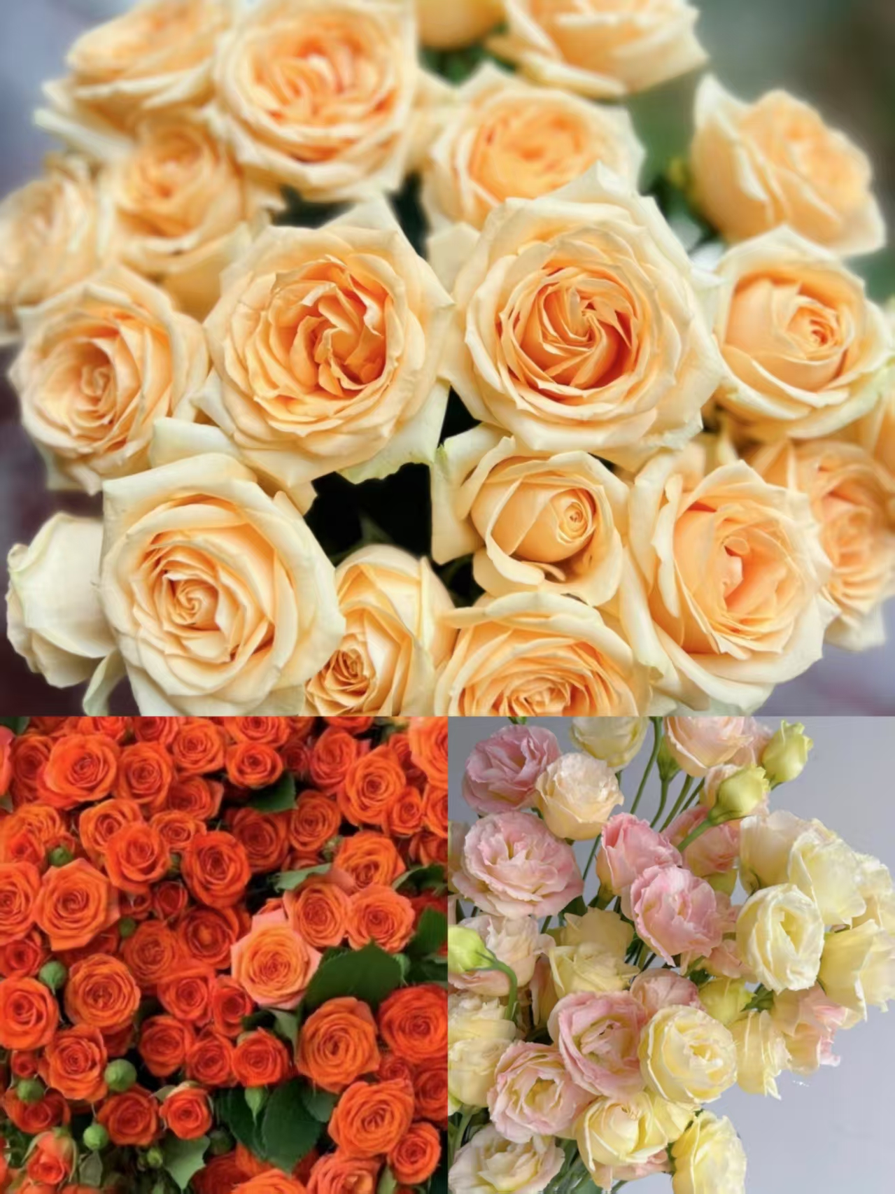 【鲜花5件套】云南基地直发家用客厅餐桌插花水养云南直发鲜花