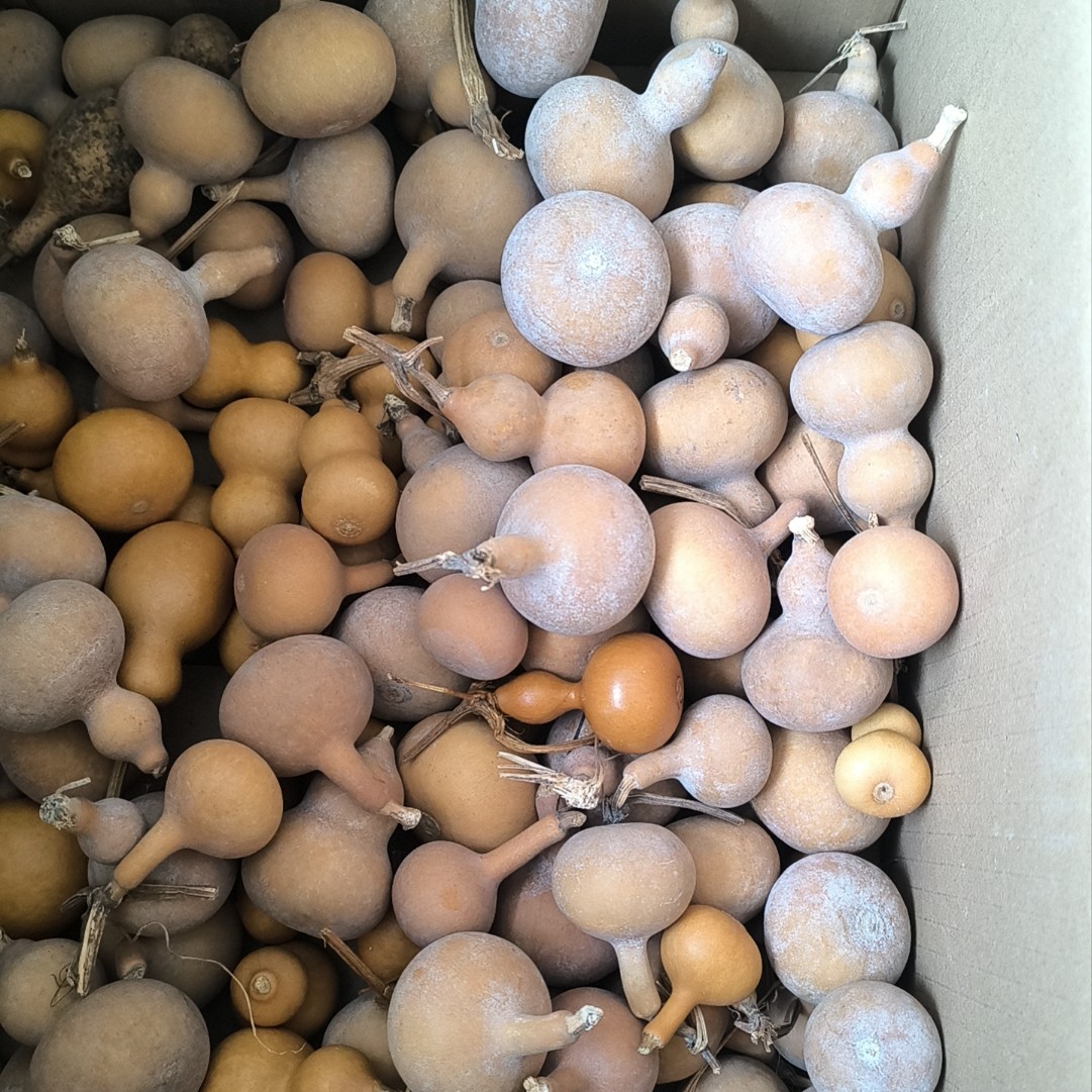 文玩葫芦，直播间专享，一物一图。