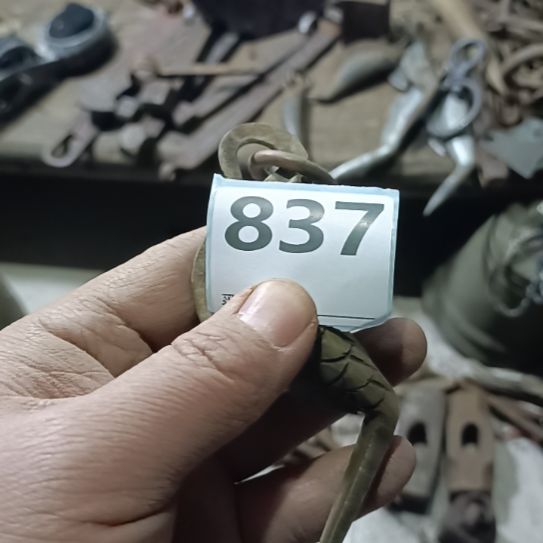 戈***王长尾巴铜鱼刀一个