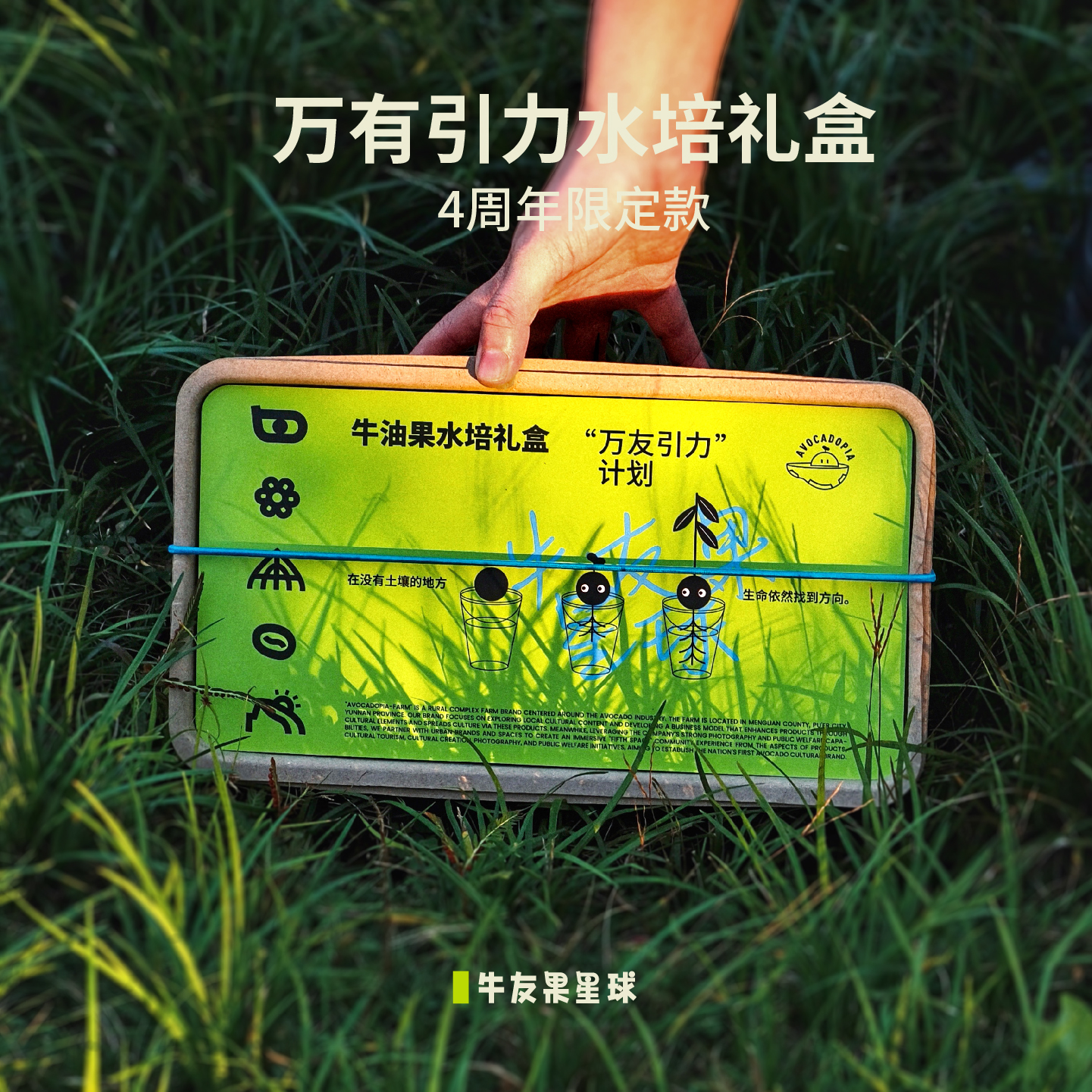 万友引力牛油果水培礼盒4周年限定 挂耳咖啡牛友友挂件创意送礼