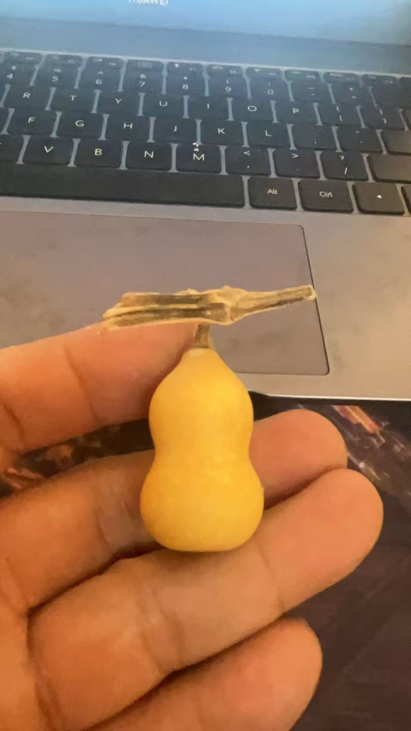 可盘玩文玩小葫芦手把件 [默认微瑕介意勿拍]