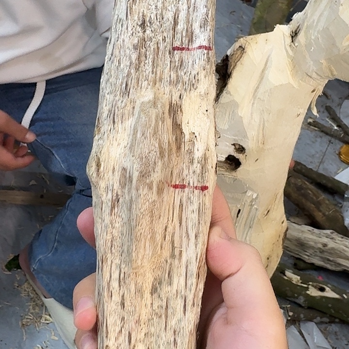 沉香碎屑沉香沉香料子