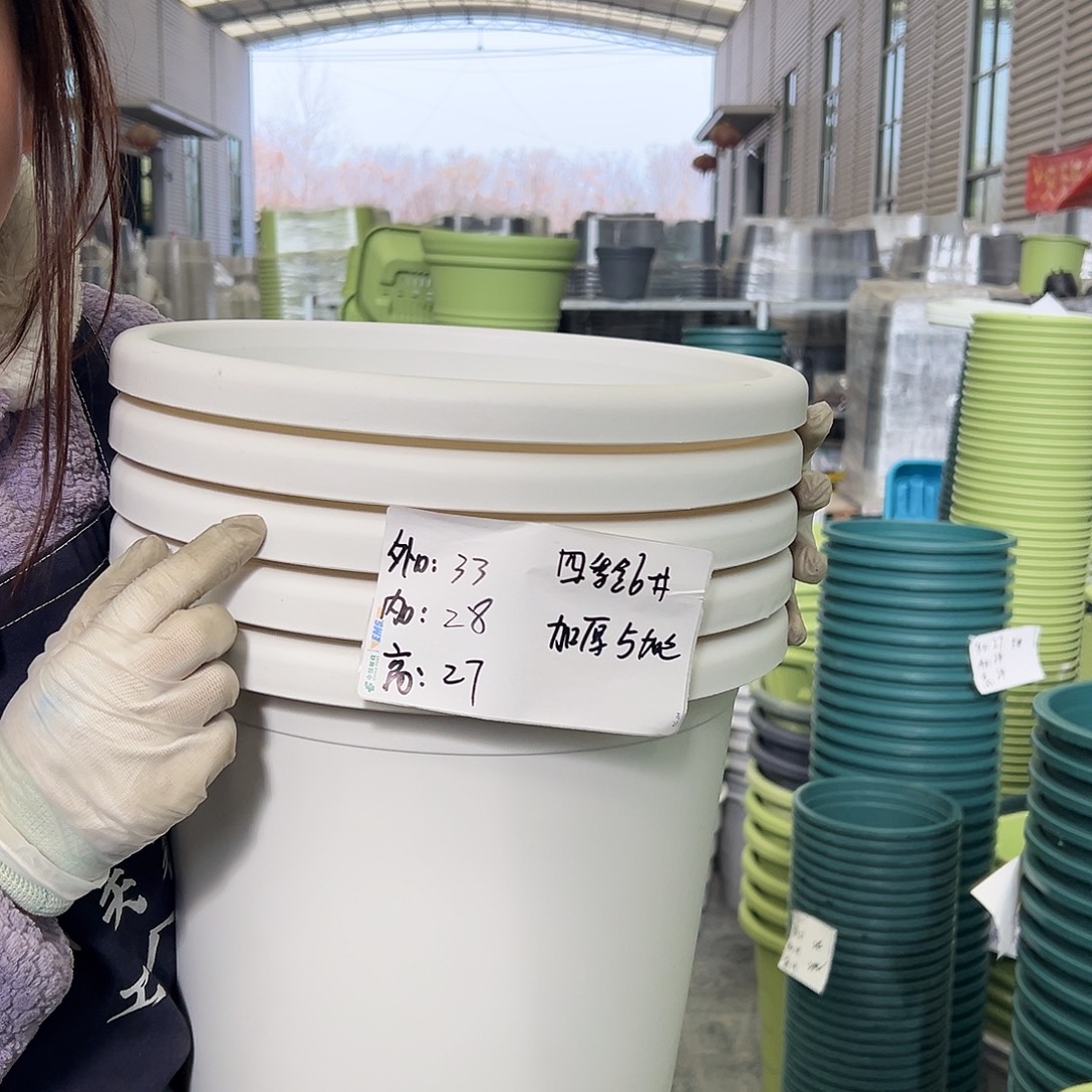 四季盆6#白色5个无托