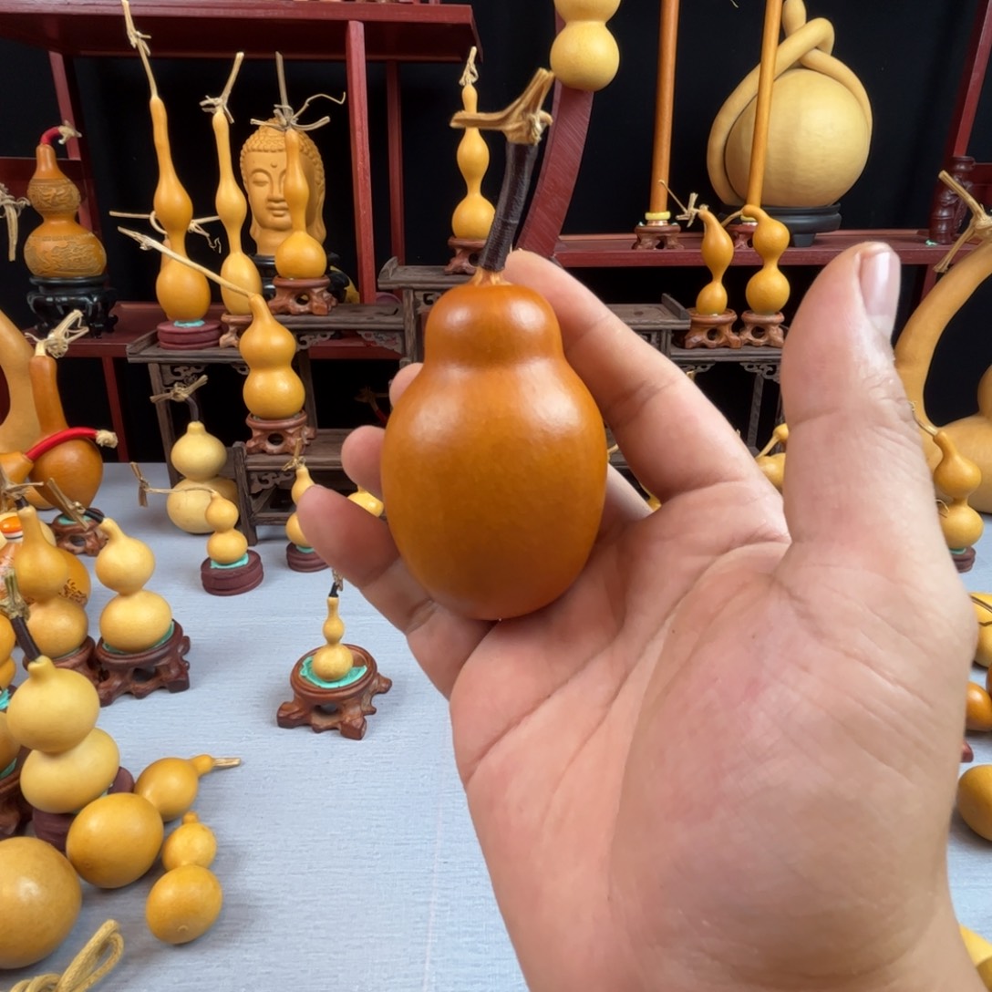 文***玩藤木我的小可爱，一点也不像个女孩