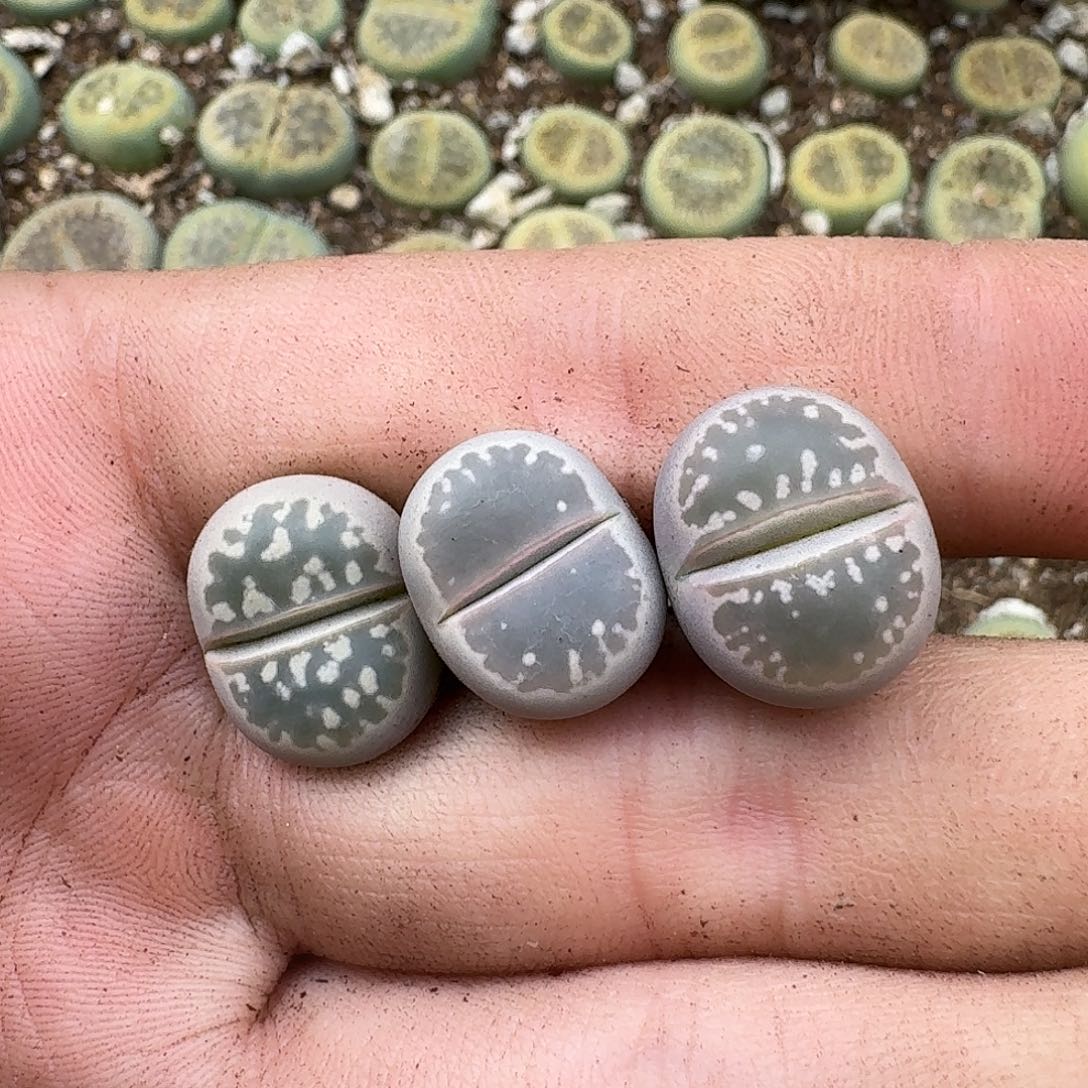 364满18包邮保温袋联系客服