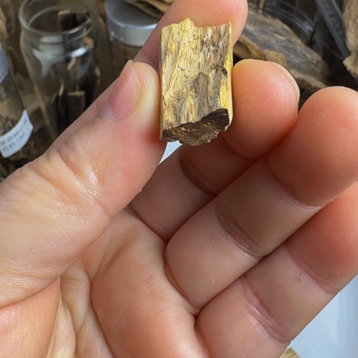 沉香沉香枕百年虎班棋