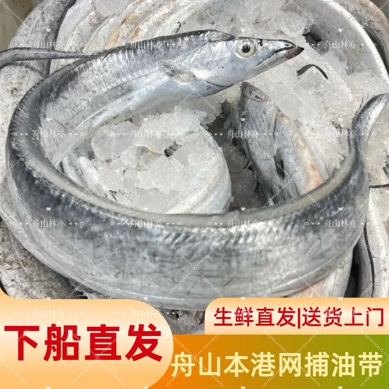 【下船价】【统货发货】【新鲜发货】【送货上门】舟山小眼受伤油带鱼