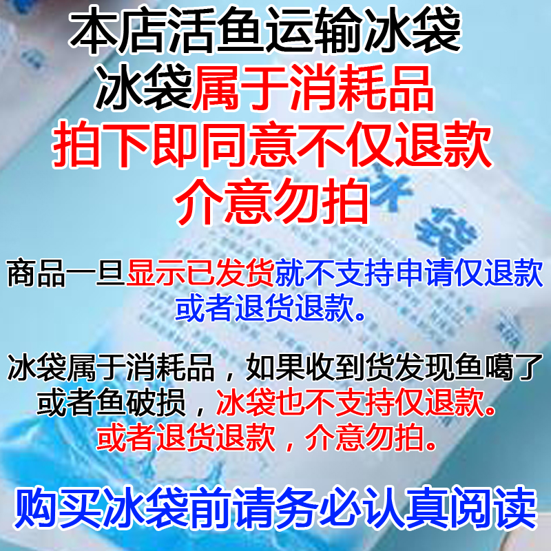 冰袋属于消耗品 拍下即同意不仅退款 不申请退货退款 介意勿拍 