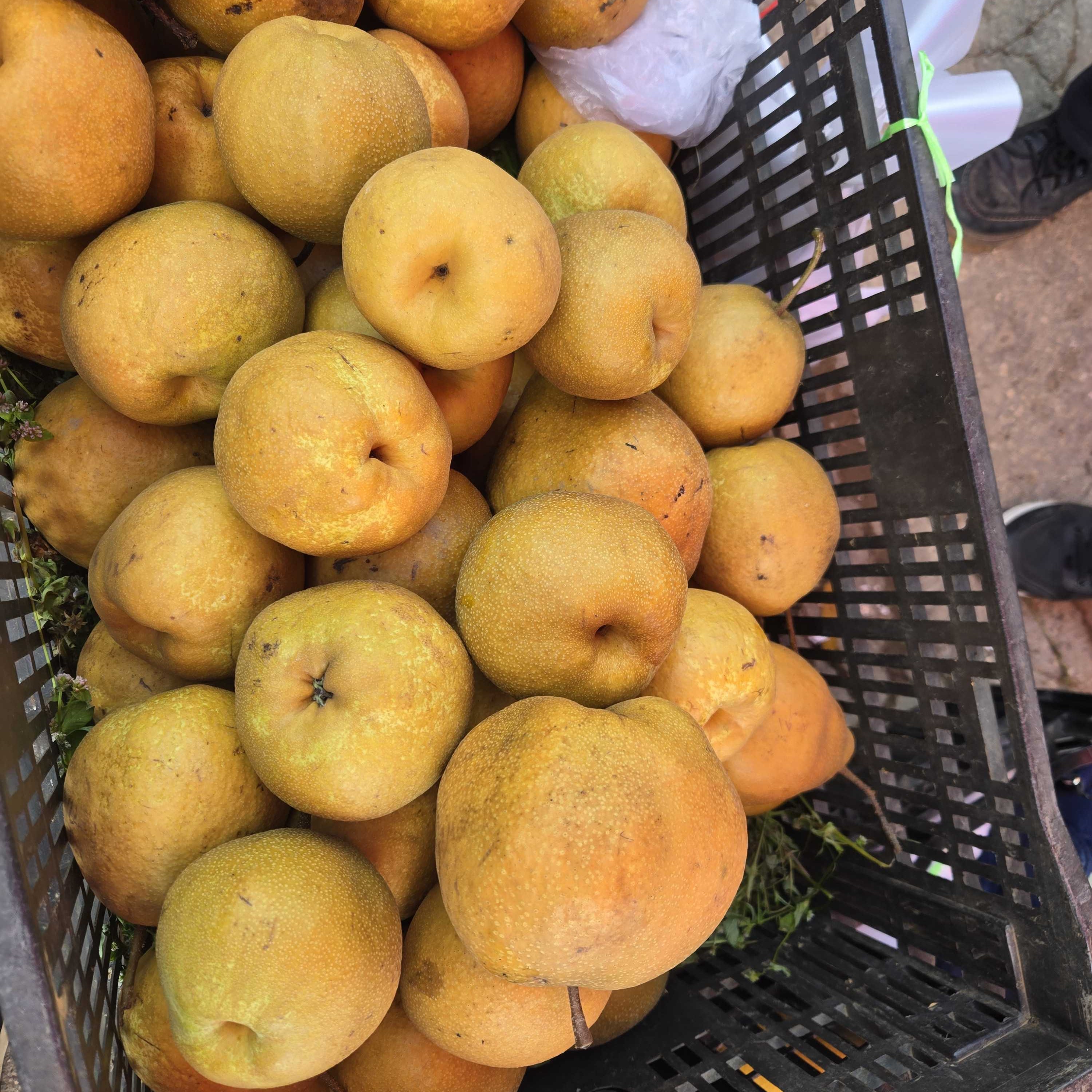 【云南农家红皮梨】农家露天种植梨