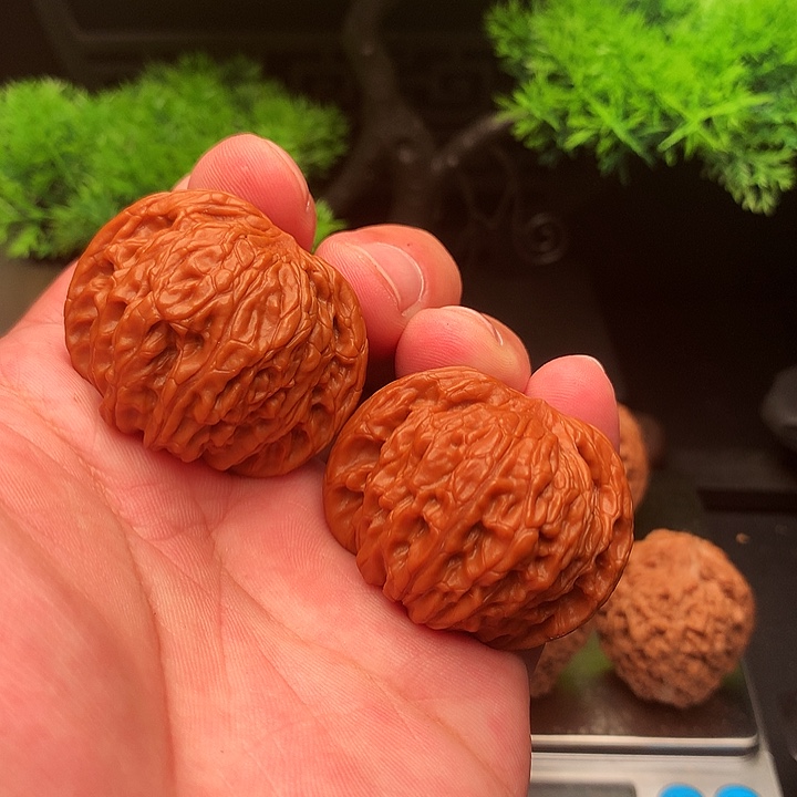 吊坠文玩核桃42正磨以打底