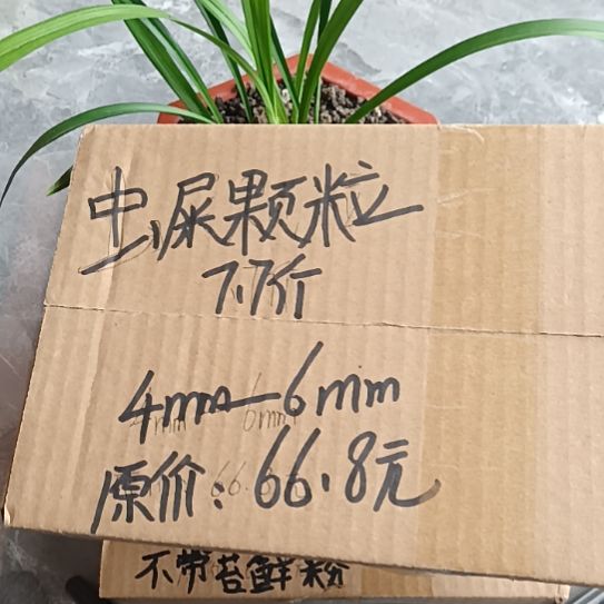 用***3兰菌黑山土虫屎颗粒7.7