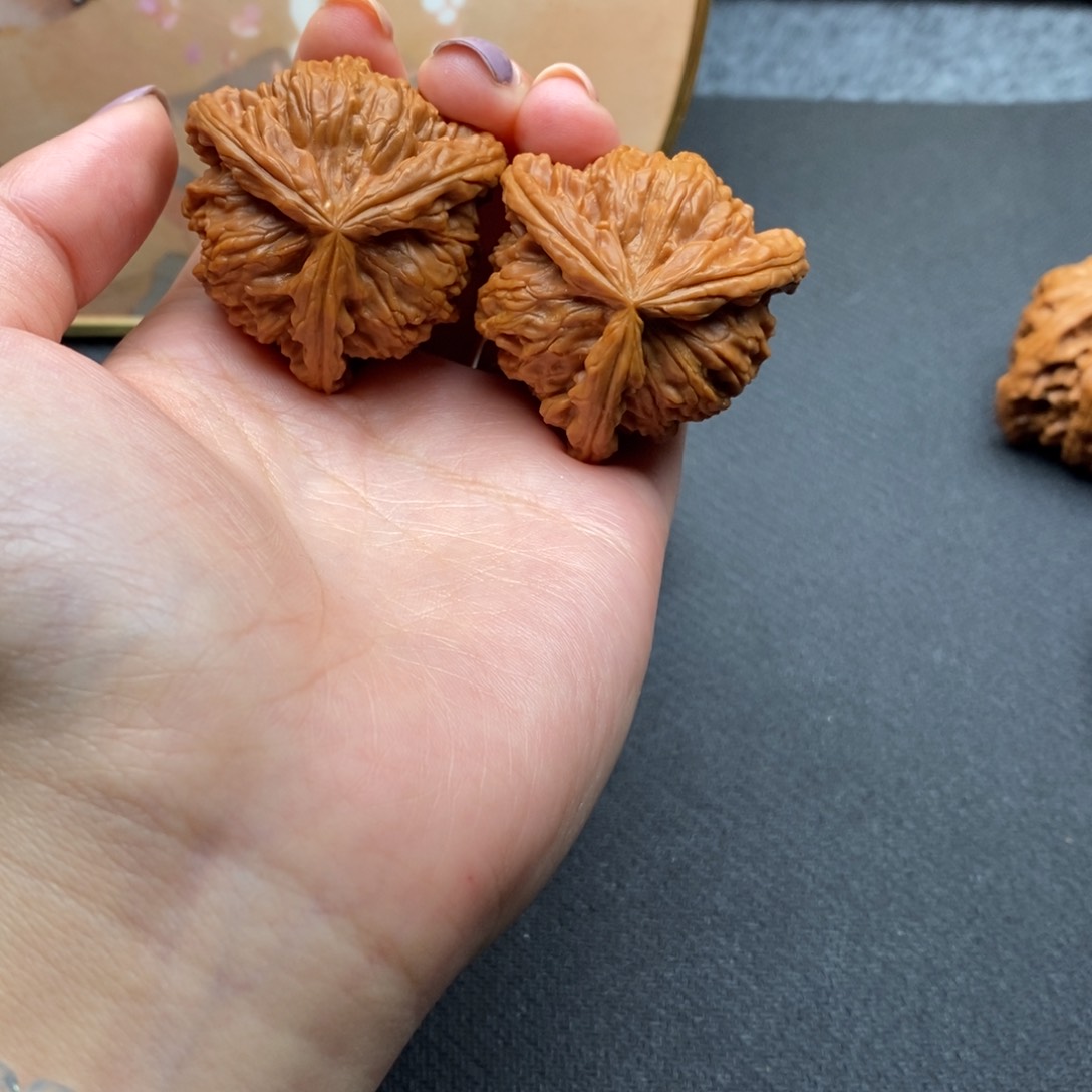 辉*白狮子111111111111