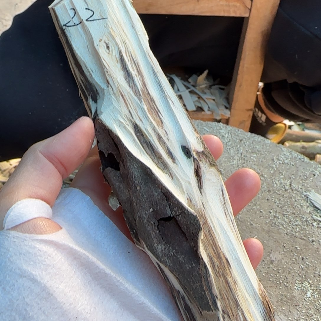 树脂制品22号奇楠原木一个