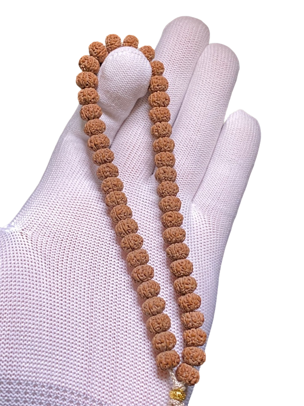 小金刚菩提，六瓣战神飞碟双龙尺寸9装高6，原皮原色，支持下水验货