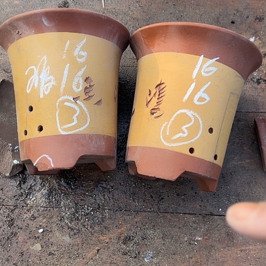 紫砂工艺厂……紫砂工艺厂……