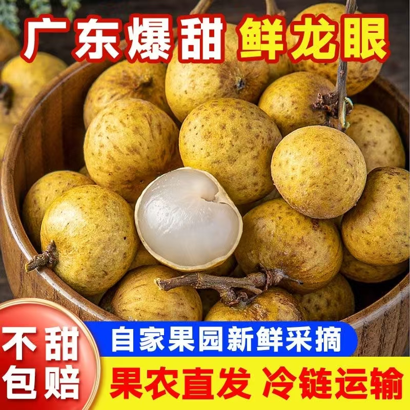 广东茂名高州石峡龙眼自家果园新鲜采摘现摘现发