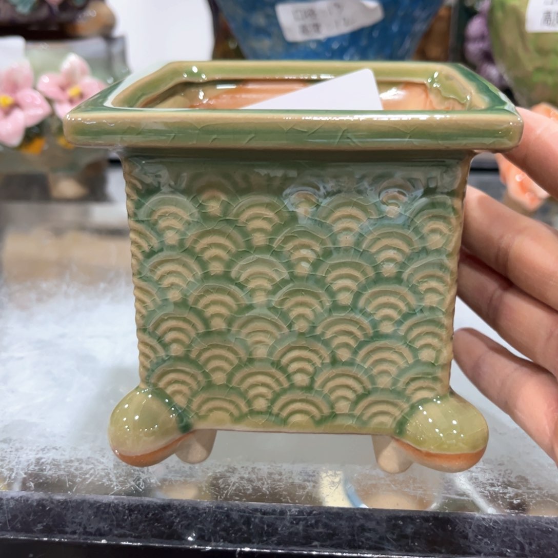 红陶福利福利福利福利