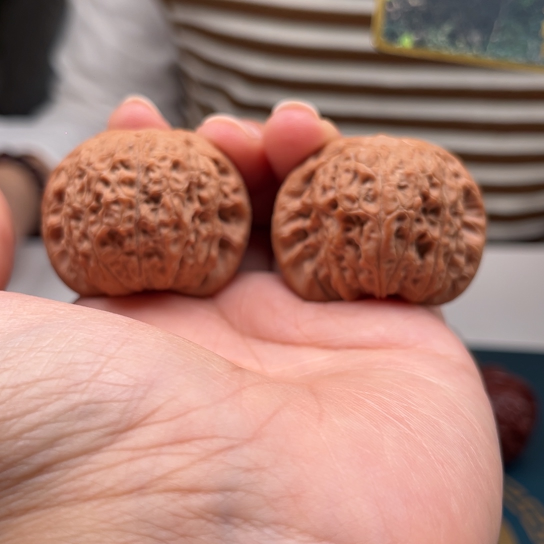 柏香籽/百香籽吊坠血麒麟