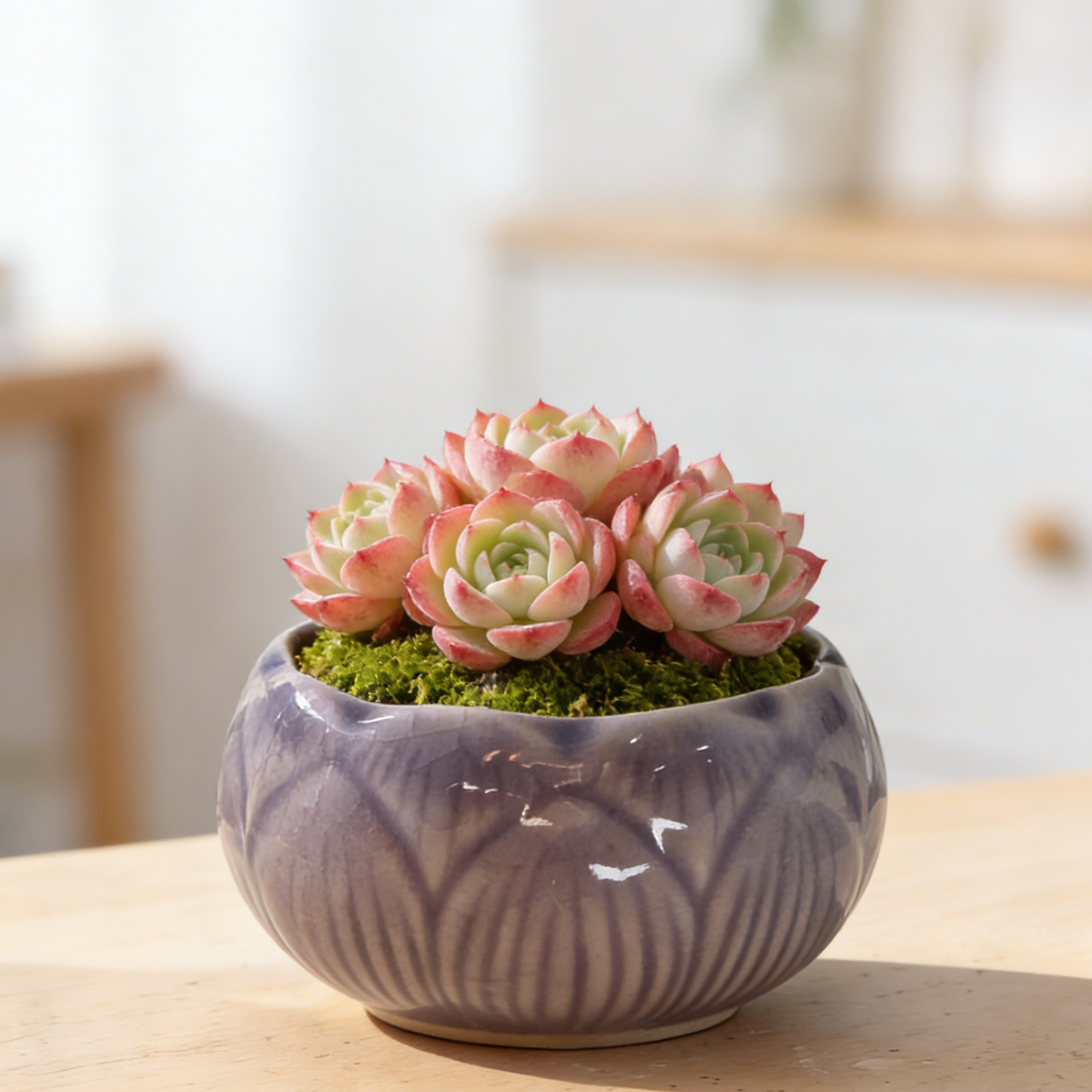 透气陶瓷花盆专为桌面绿植设计复古中国风小号多肉盆直径8cm高5cm