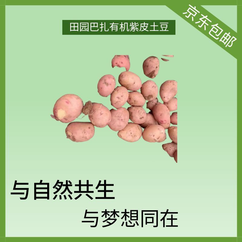 【新品福利】田园巴扎紫皮土豆