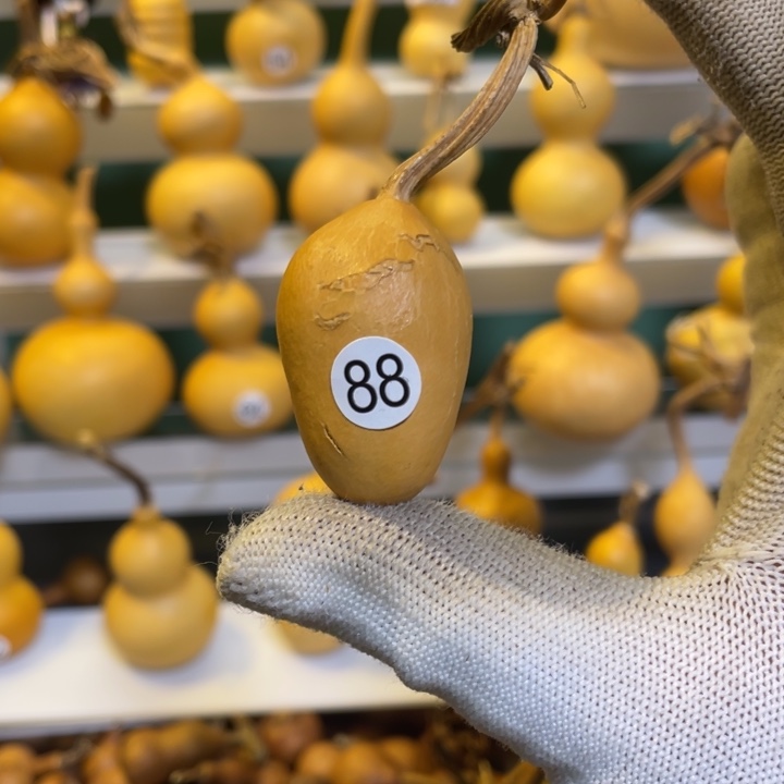 默认微瑕不保龙头