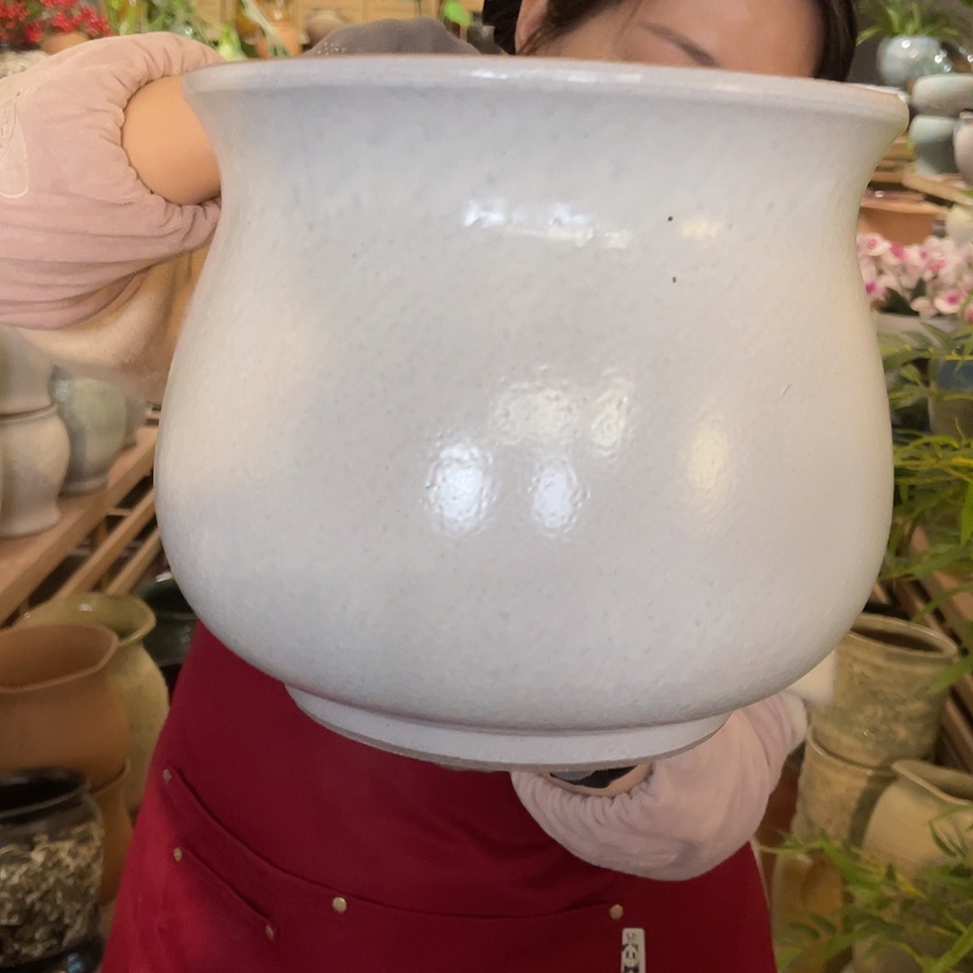 红陶高度22口径25