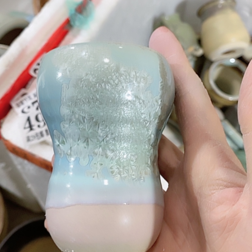 【闪购商品】红陶口6