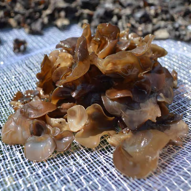 东北特产纯野生新秋山木耳干货软糯包邮精选野生黑木耳