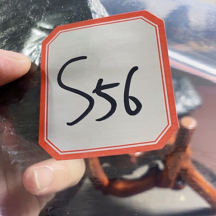 飞***鹰蛇纹石玉未镶嵌纯天然岫玉