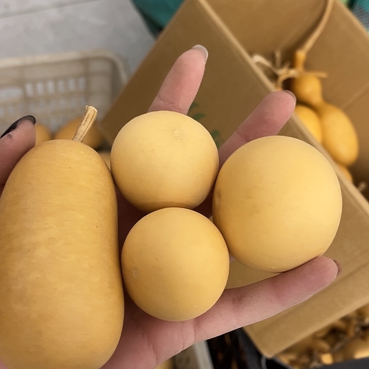 鸡蛋葫芦2 冬瓜1个