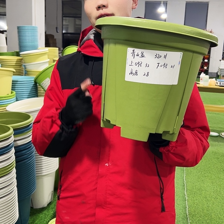 清仓青山口32高28果绿色5只无托