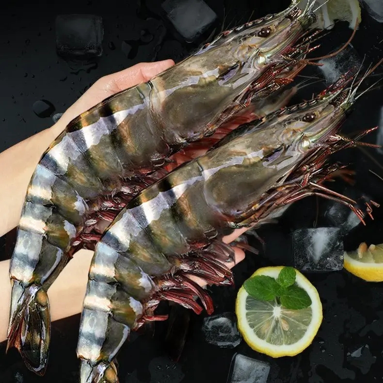 【一斤7只】A级特大号10~15规格野生黑虎虾鲜活船冻顺丰包邮