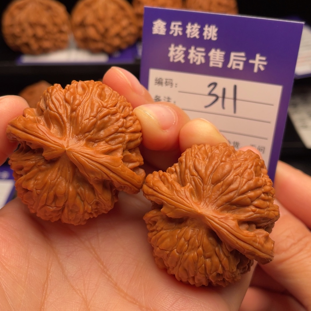 文玩核桃把件白狮子41尺