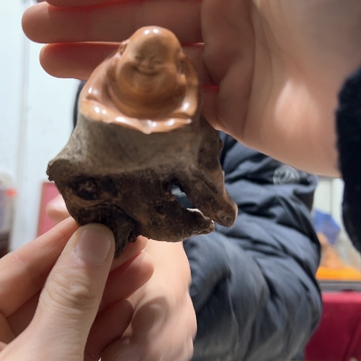 柏木将***?我们都是好孩子呀我