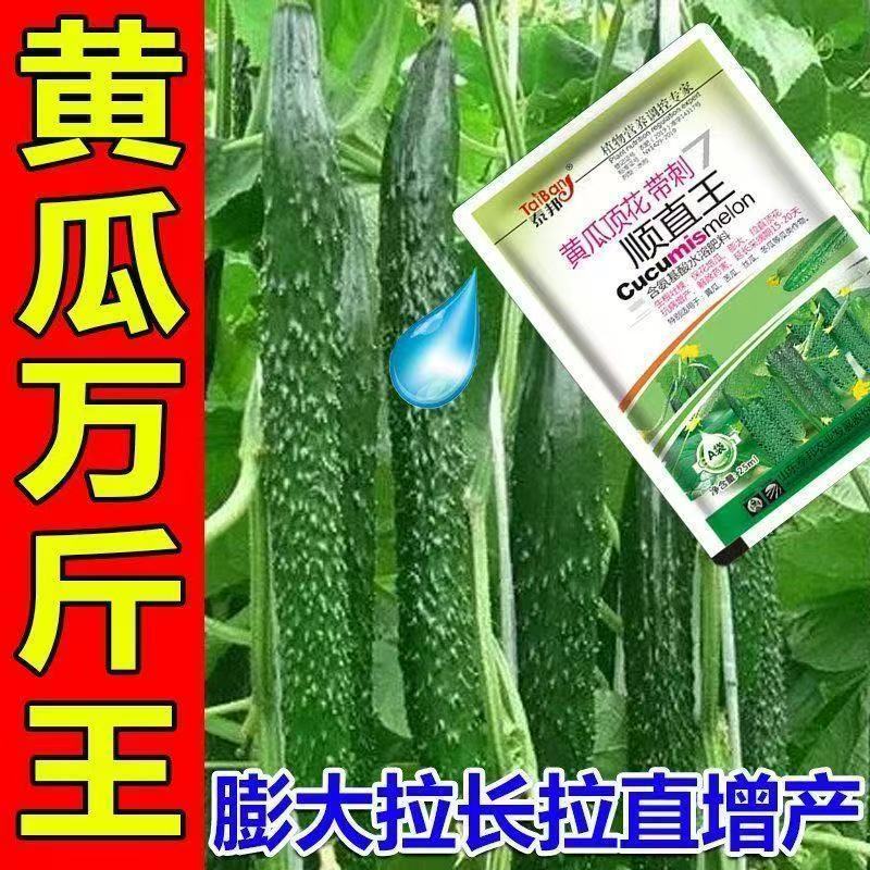 正品黄瓜专用肥黄瓜拉直拉长增收高产黄瓜肥料厂家直销批发