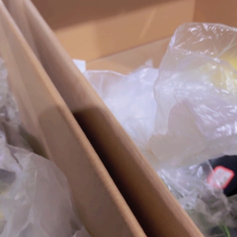 PE3盘12➕1绿色2号100米