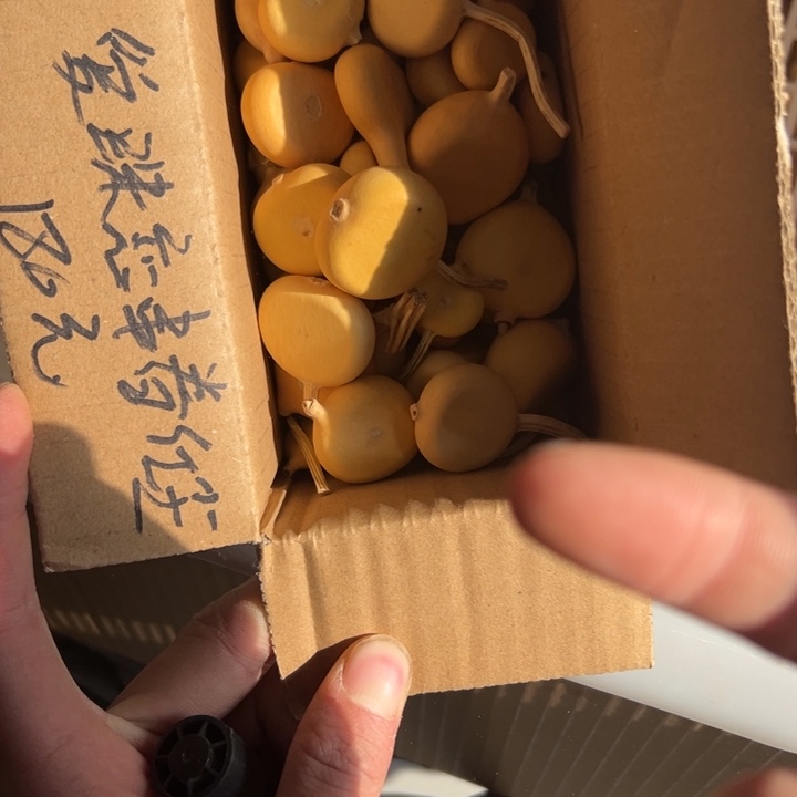 爱***尘大叶紫檀（黑酸枝木类）