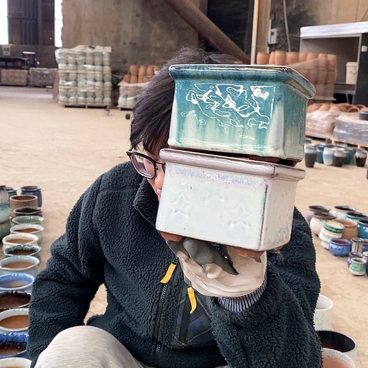 红陶正品高8口12