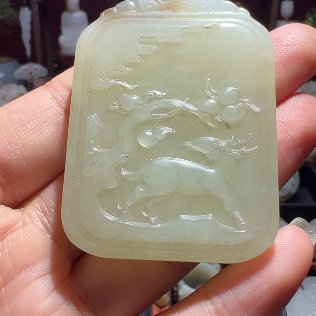 缸一物一图 所见所得