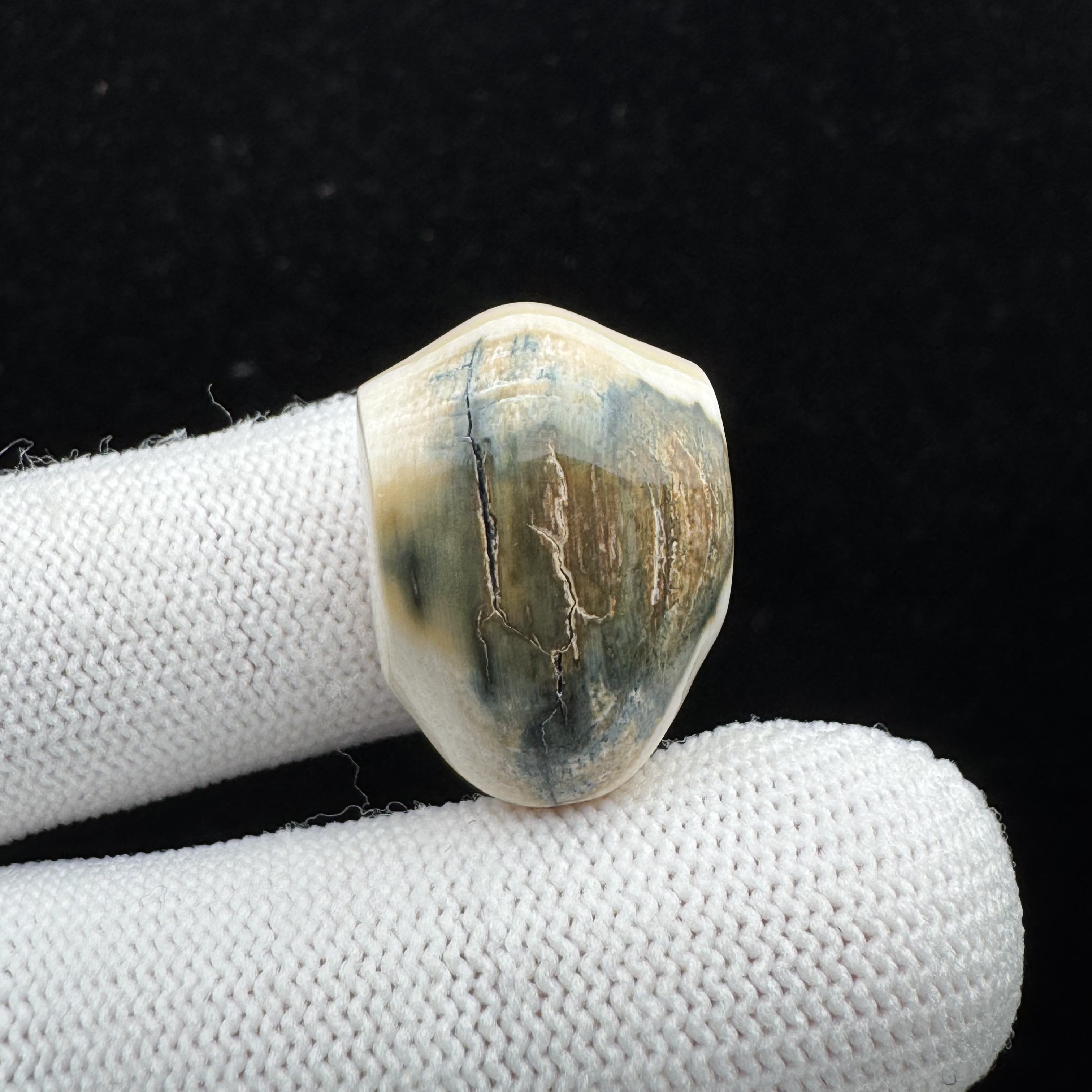 D4297天然猛犸牙 三通 15.8*22.7mm支持鉴定 假一罚四