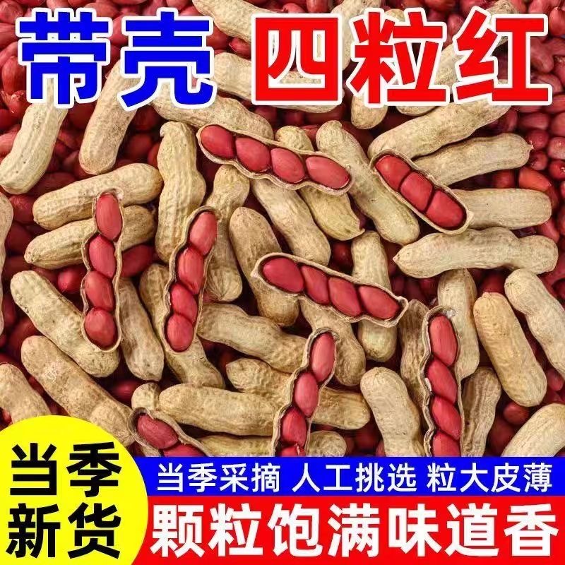 今年新货红皮四粒红花生农家自种红衣花生米花生仁东北特产