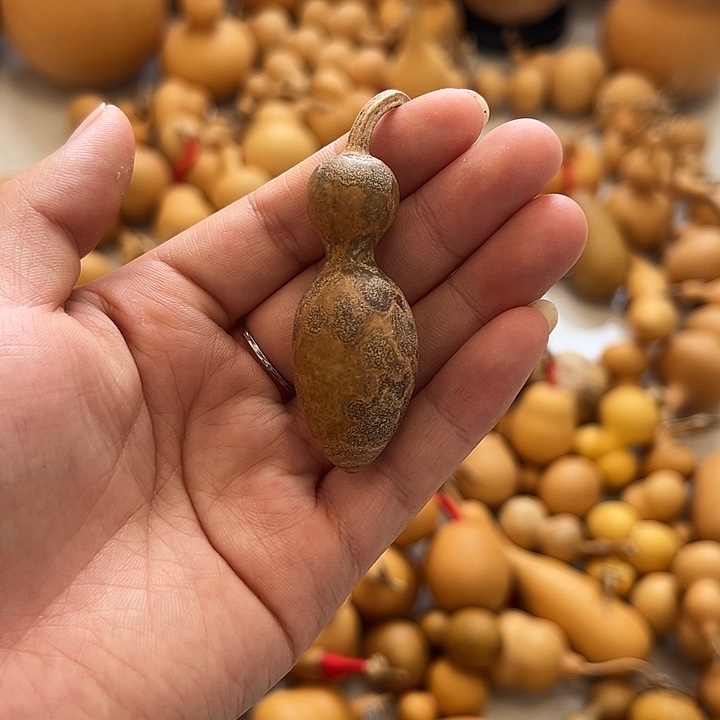 天雅闪拍链接葫芦