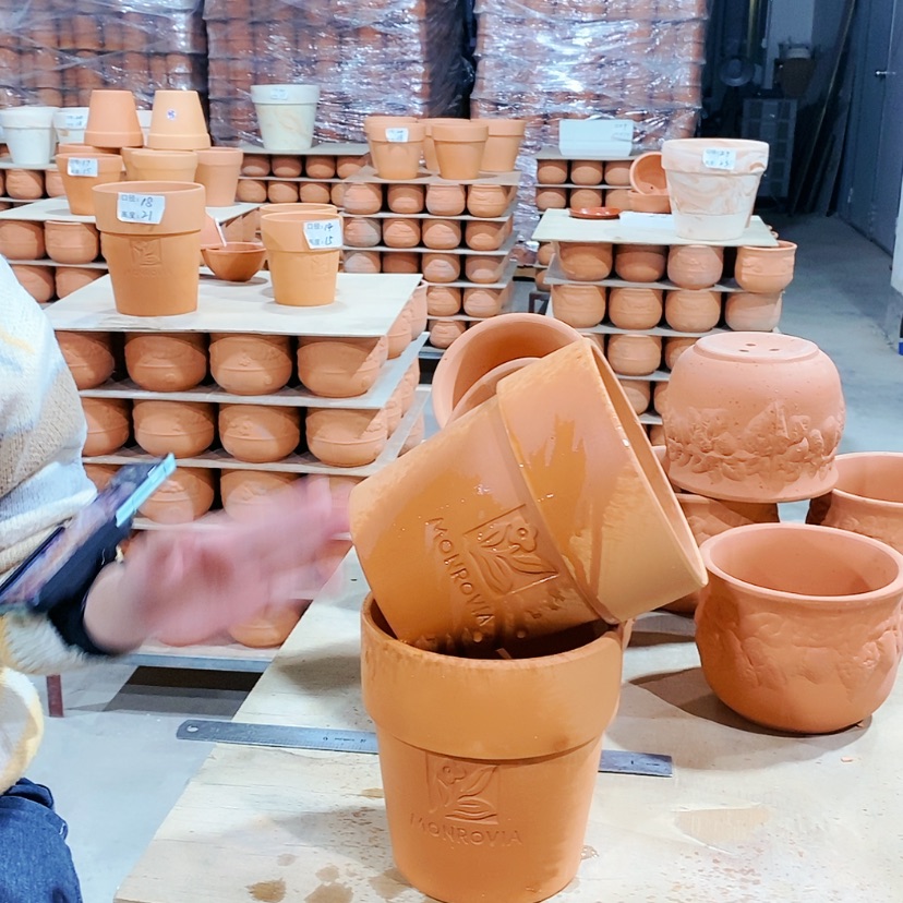 【闪购商品】红陶10-14×15两个